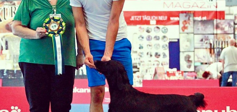 Litter plans spring 2016