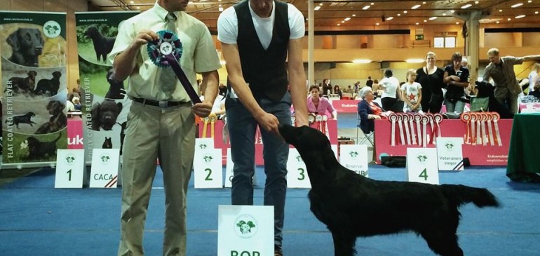 Double CACIB Klagenfurt 2014