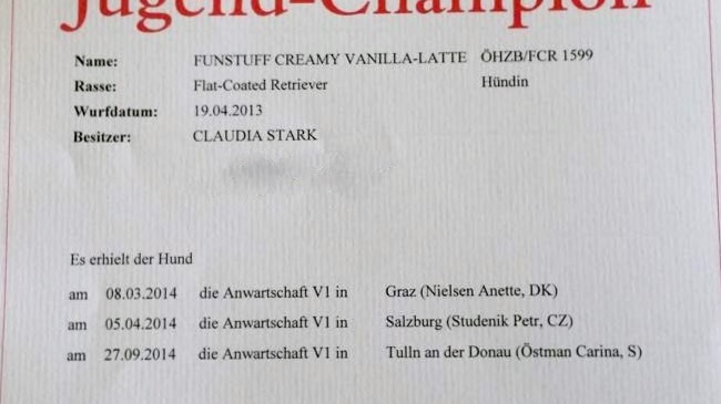 Another „Austrian Junior Champion“ at Kennel Funstuff