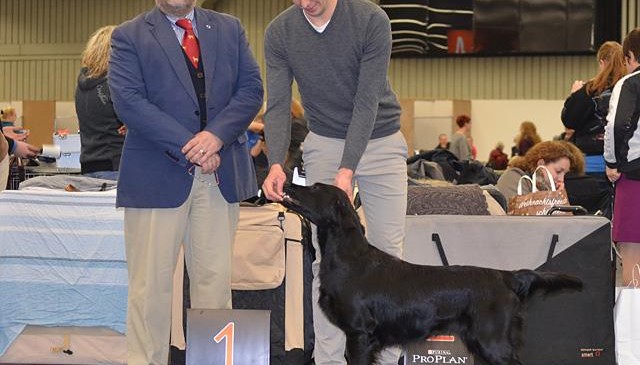 CACIB Nürnberg, Germany 2015