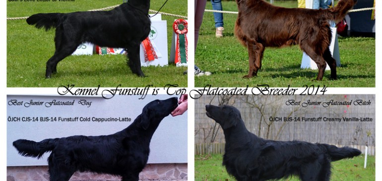 ÖRC-Show Cup 2014 – we took all titles!