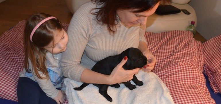 Happy 3 weeks, Funstuff D-Litter