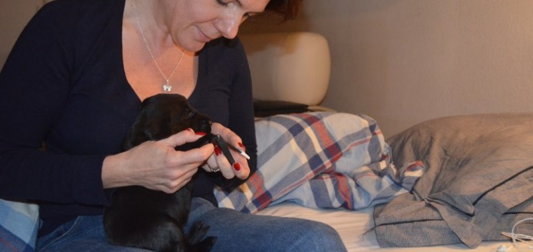 More photos of Funstuff D-Litter