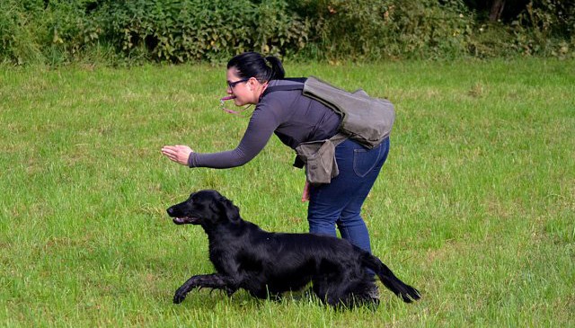 Working Test Bad Aussee 12.09.2015