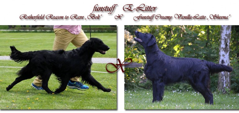 Funstuff E-Litter – they have met!