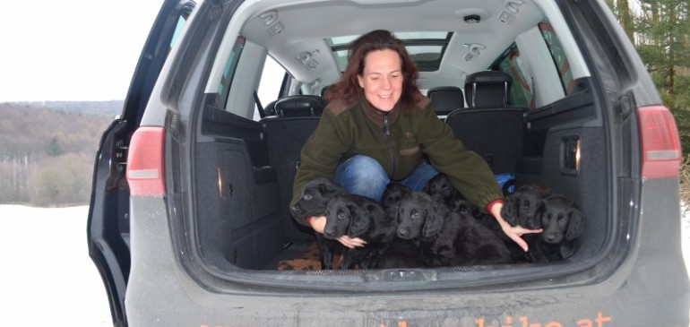 Happy 8 weeks, Funstuff E-Litter!