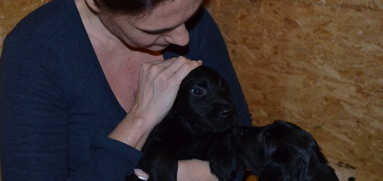 Happy 6 weeks, Funstuff E-litter!