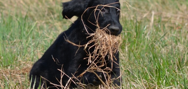 Easter Monday – trip to Sonjas place