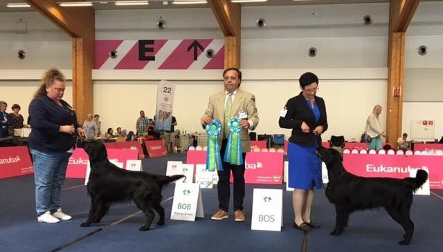 Double CACIB Innsbruck 2016