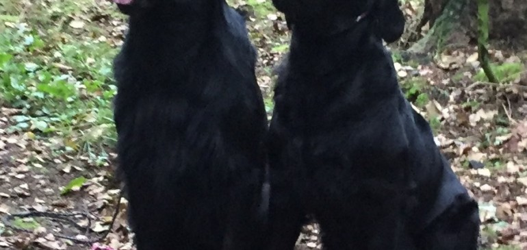 Mating trip to Helsinki