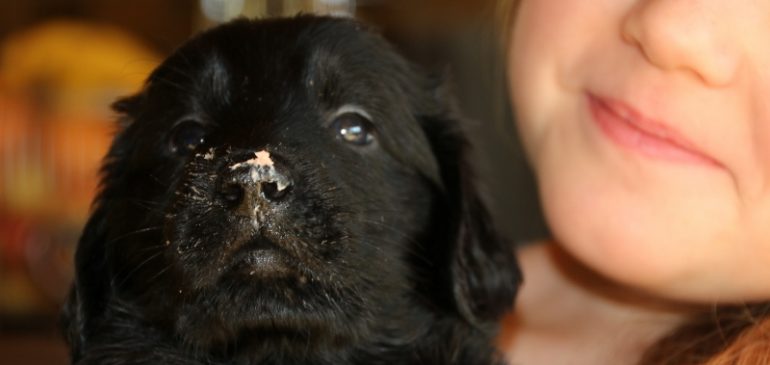 Funstuff G-litter, here’s the Update!