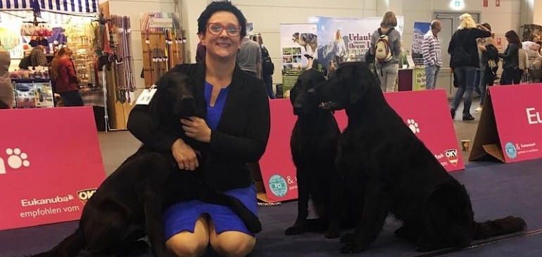 Double CACIB Tulln 2016 – not so bad again :)