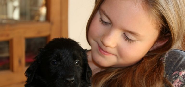 Happy 6 weeks, Funstuff G-Litter!