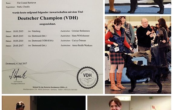Sheena, now oficially confirmed German Champion (VDH)