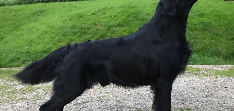 Welcome to Austria, Ivar!