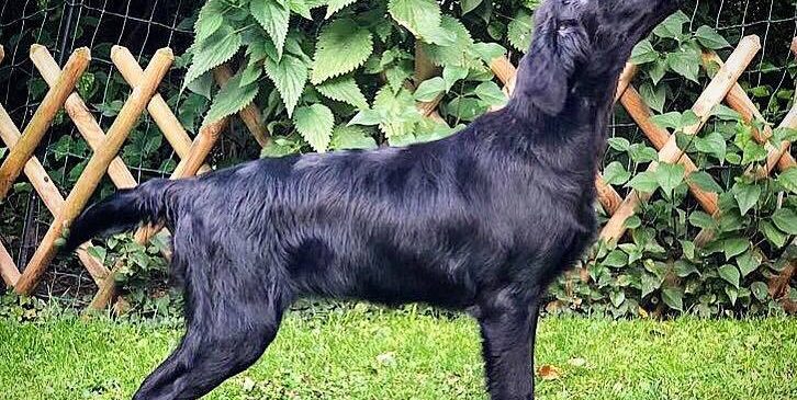 Funstuff High Five „Kate“