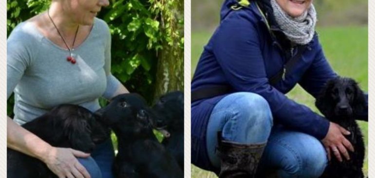 Exciting changes at Funstuff Kennel