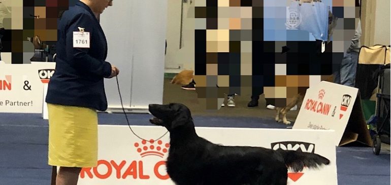 Results Bundessieger Show Tulln