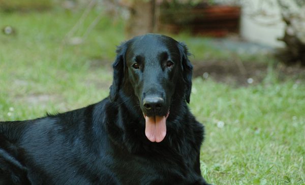 Leeloo „Funstuff All Time High“ 25.01.2009 – 22.10.2018