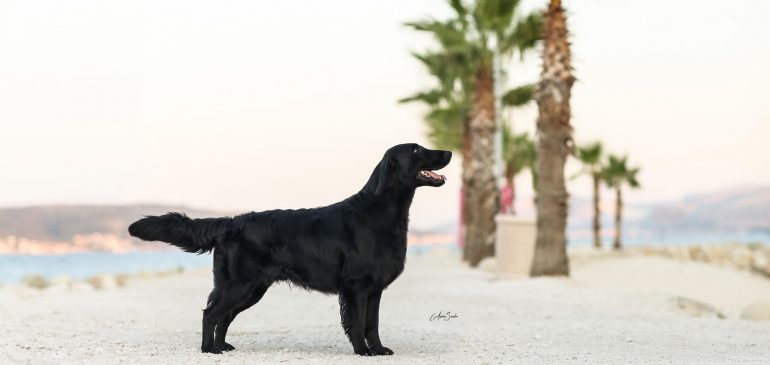 Funstuff K-litter, exciting news
